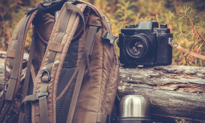 ' . get_the_title() . '